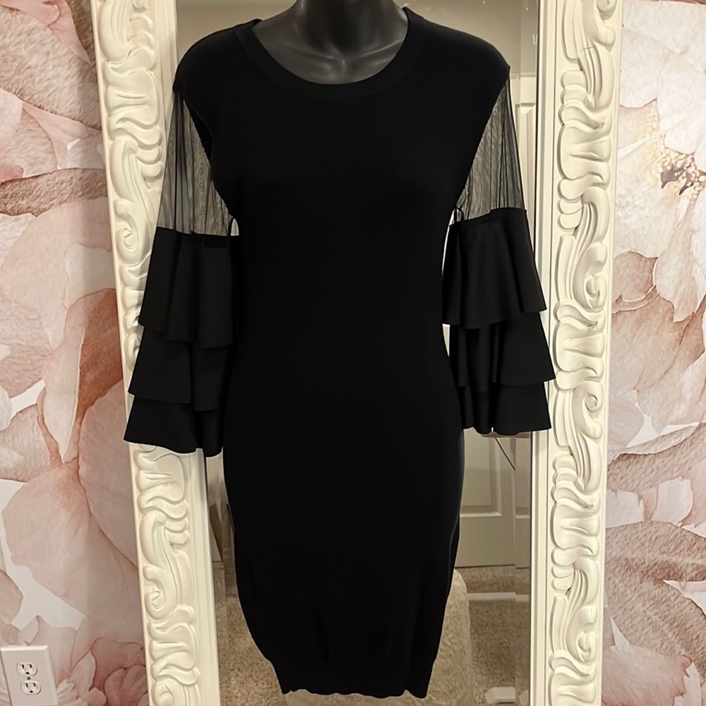 Mesh Ruffle Sleeve Dress